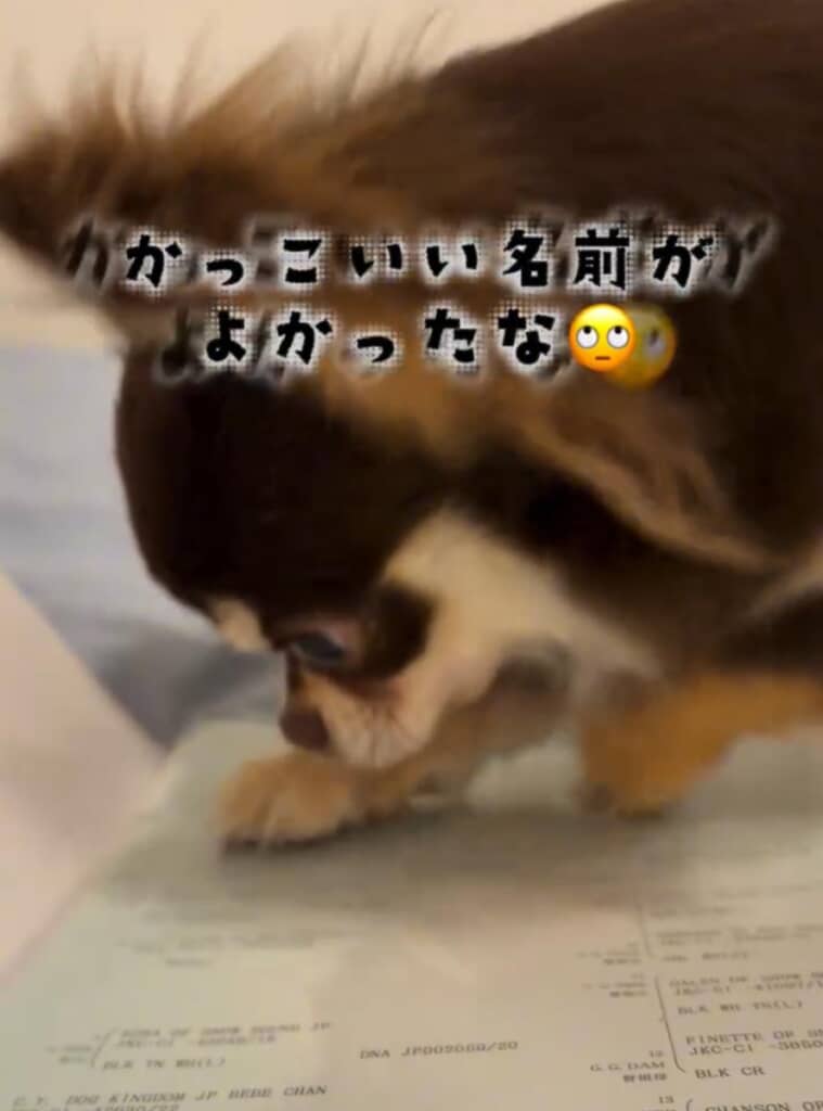 もう少しかっこいい名前がよかったなぁ〜!