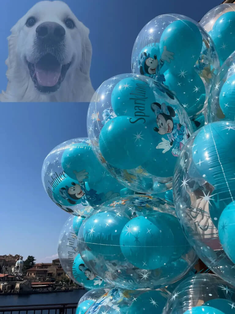 お留守番をしていた愛犬・リーズくんの顔が飼い主さんの脳裏に浮かびます