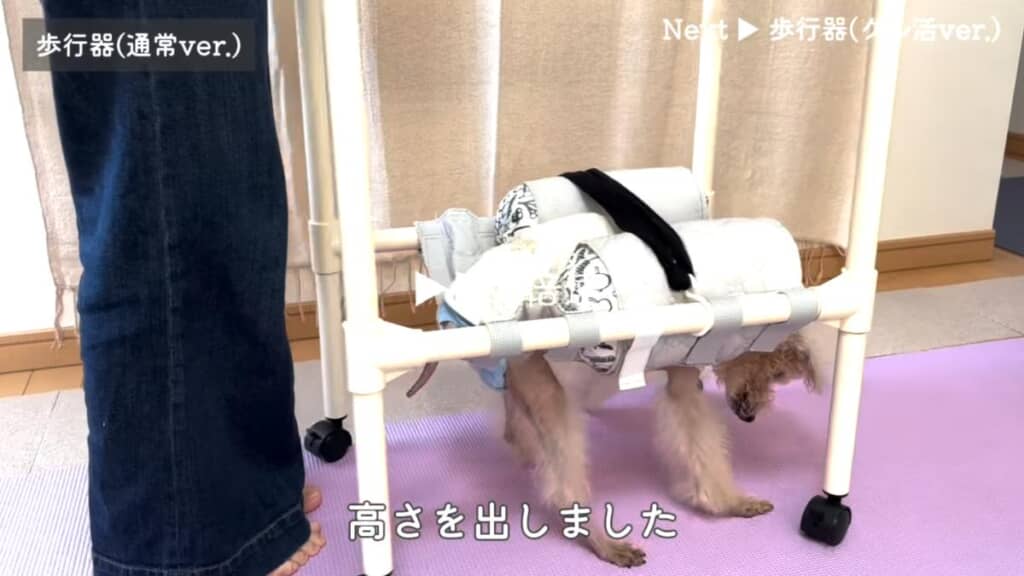 部屋を自由に歩ける通常ver.も