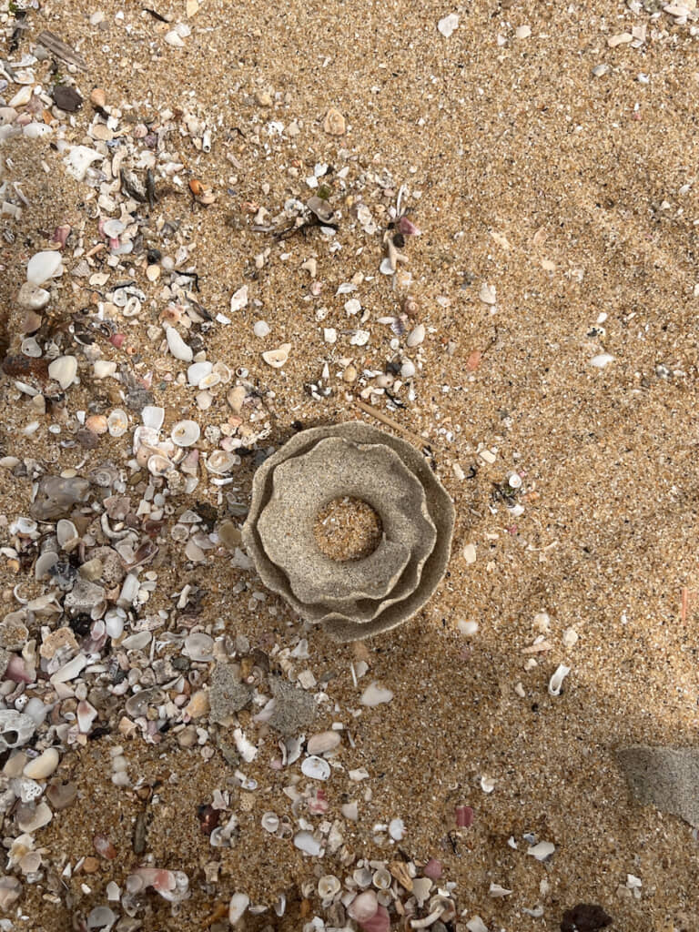 砂浜になんか落ちてる……