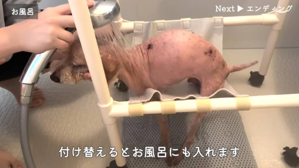 お風呂