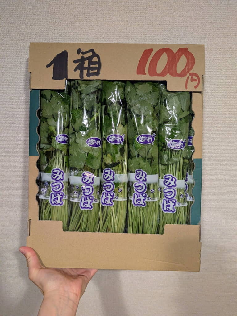 5束100円安い!