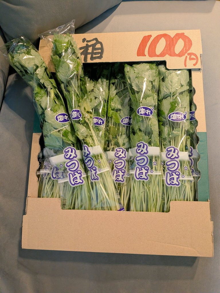 10束100円だと……?