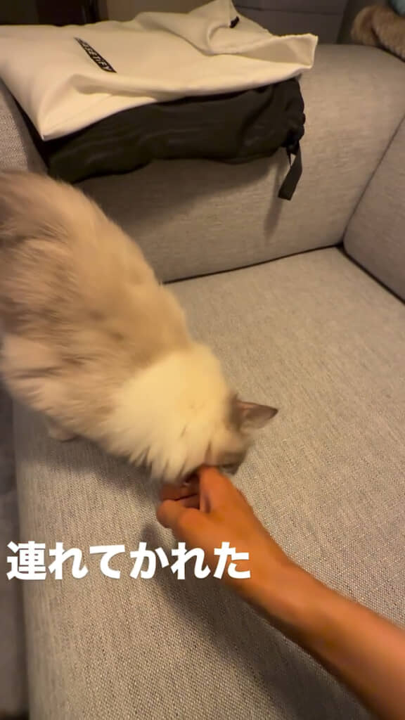 指にカプッ