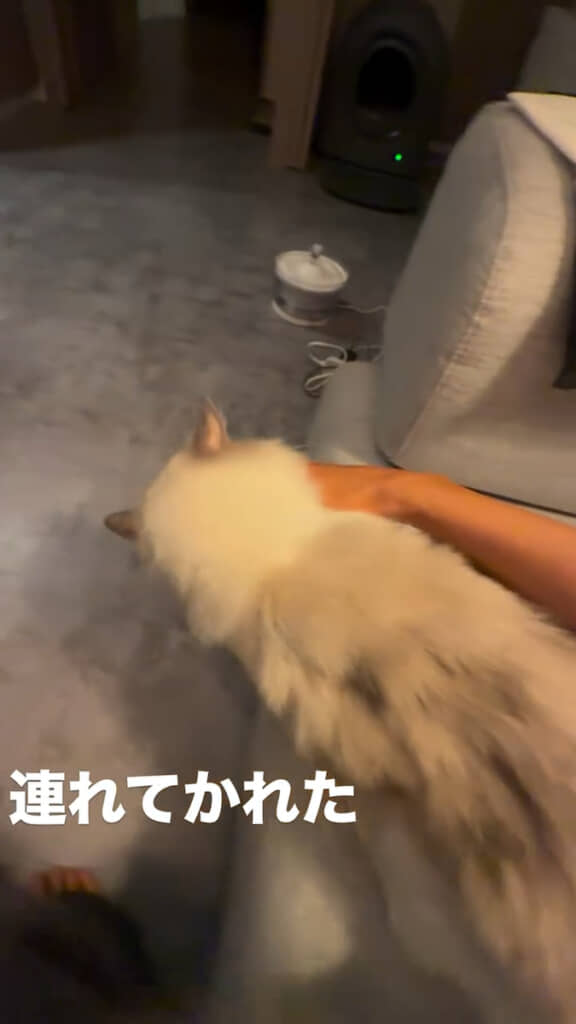 指をくわえたまま引っ張っていく