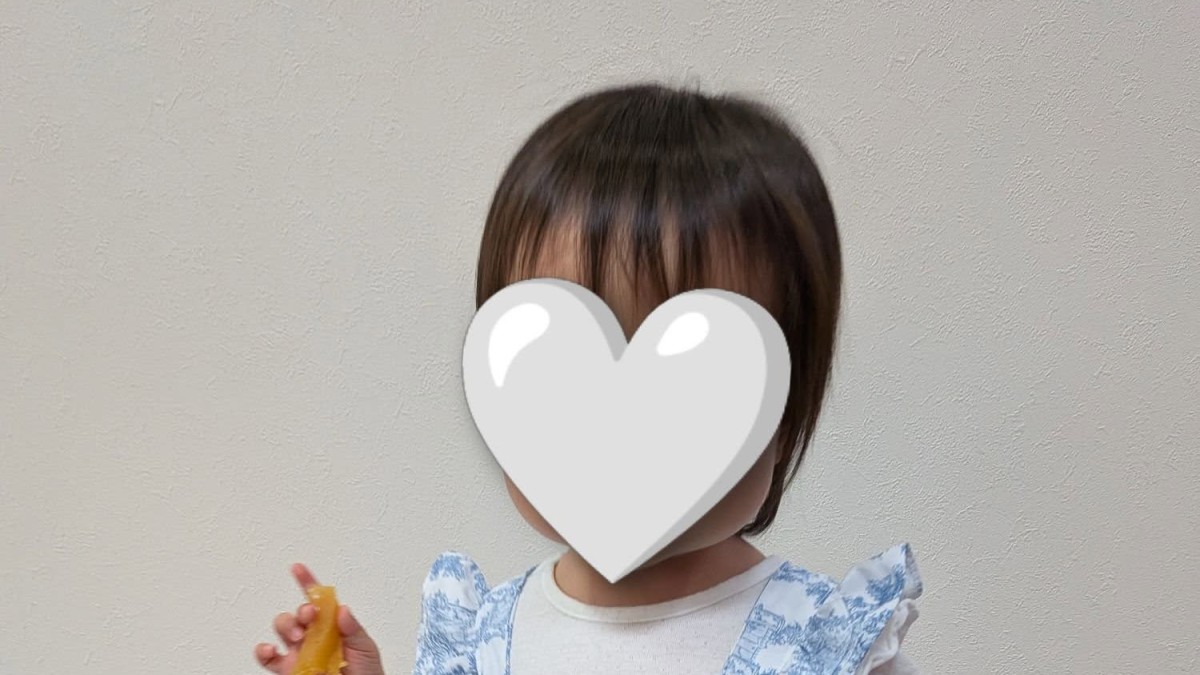 「Seriaのお洋服ですよね？」　1歳娘とお出掛けしたら→声をかけられ……“驚きの服”が180万表示「そういうことか…！」「天才いた!!」（1/2） | ハンドメイド ねとらぼ