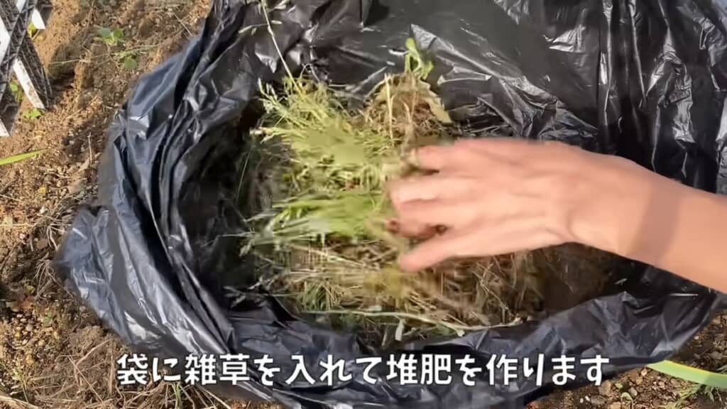 袋に雑草を詰める