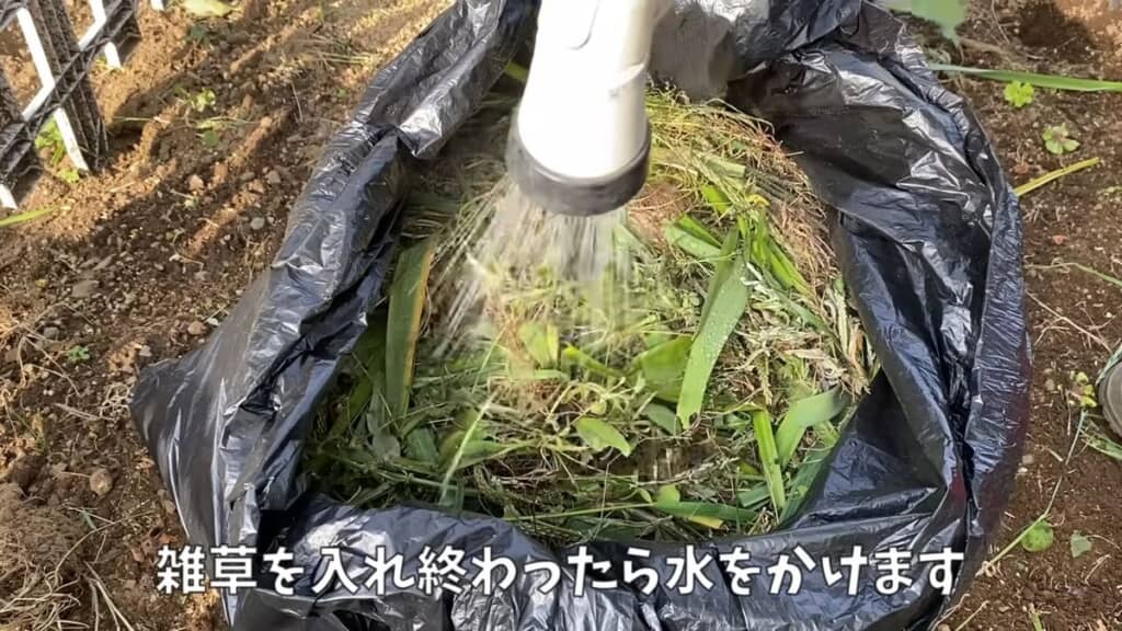 袋内の雑草と米ぬかに水をかける