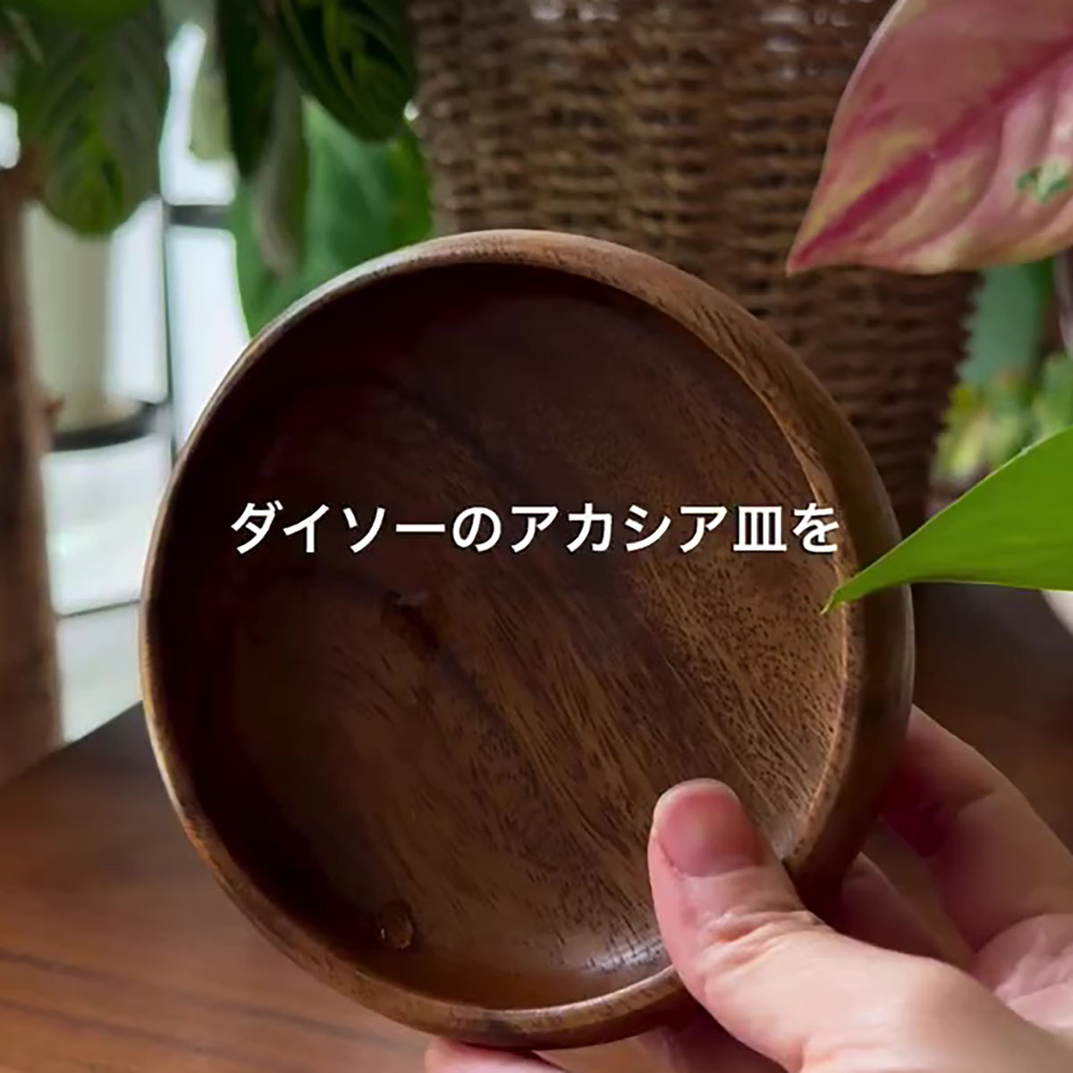 ダイソーで220円の“アカシア皿”、目からウロコの使い方で……　「おしゃれで素敵！」「発想がすごい」「参考にさせて」 | ライフハック ねとらぼ