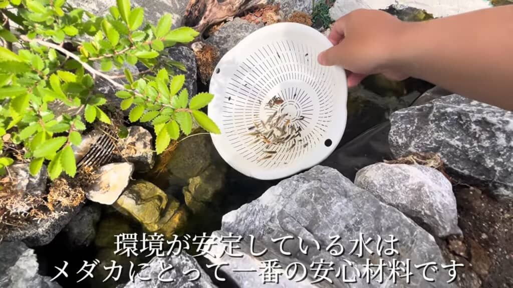 注意が必要