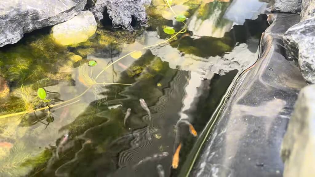 元気でね