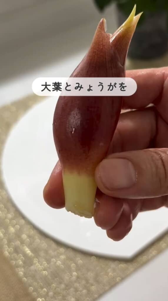 みょうがも定番の薬味です