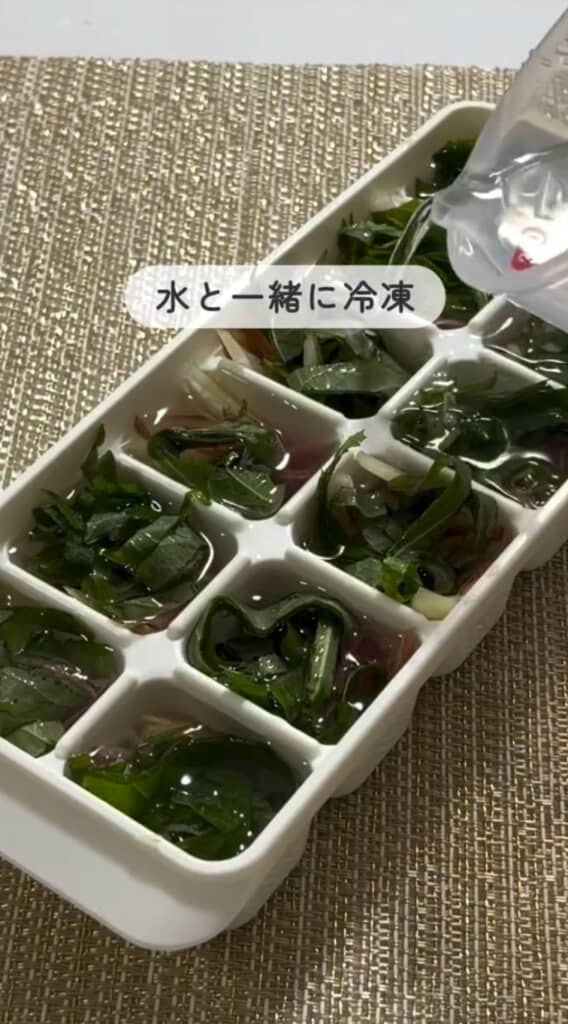 製氷皿に入れて冷凍