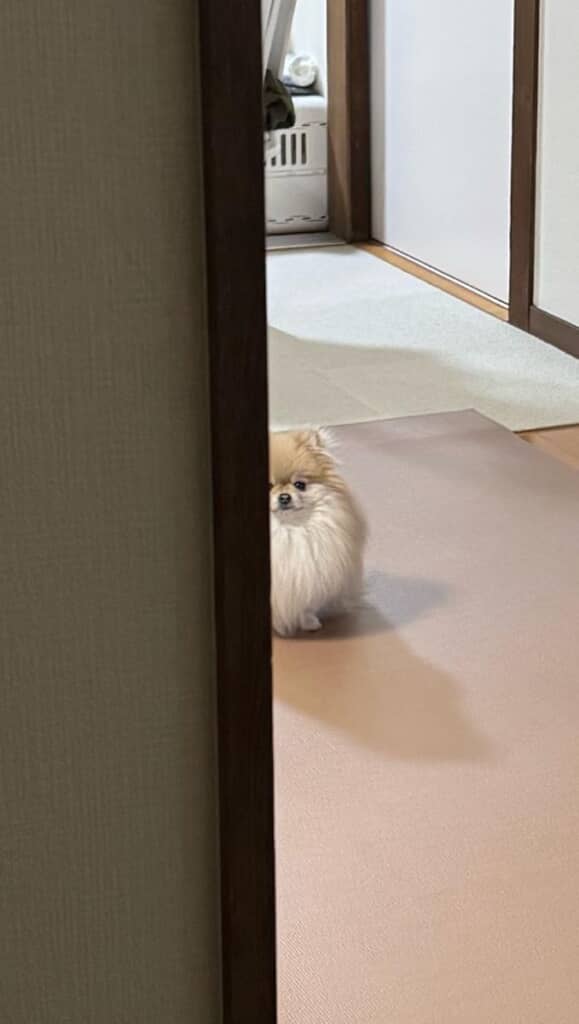 恐怖の出迎え