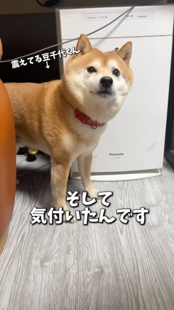 そんなに震えてどうしたのでしょう……