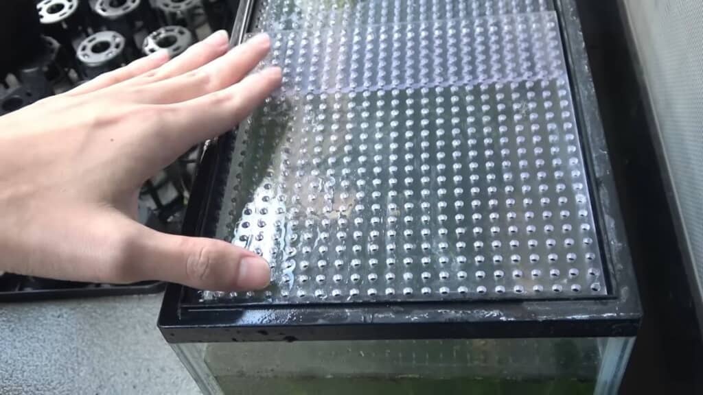 ベランダに置いてある水槽