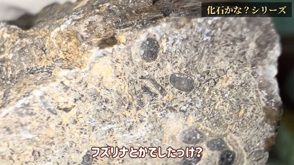 化石っぽいものもちらほら