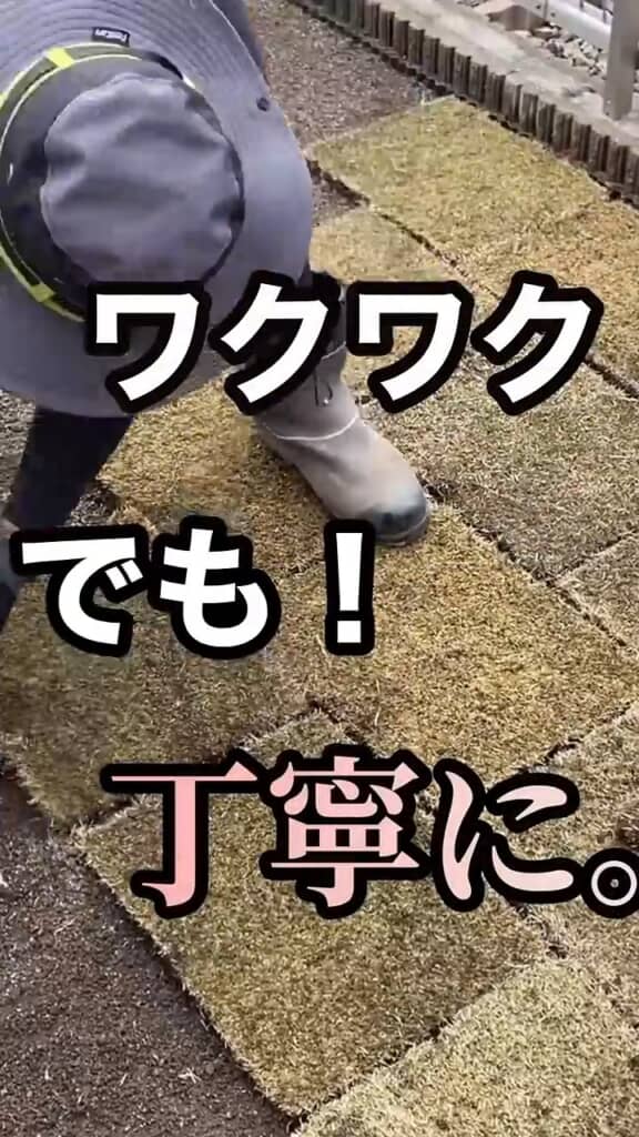 シート状の芝を敷き詰める