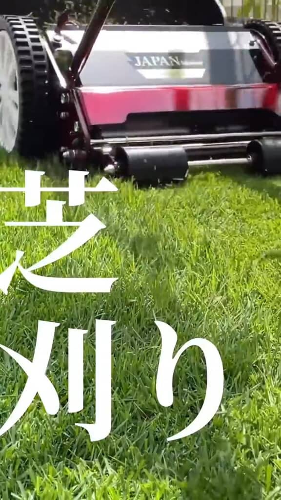 成長後もマメなお世話の繰り返し