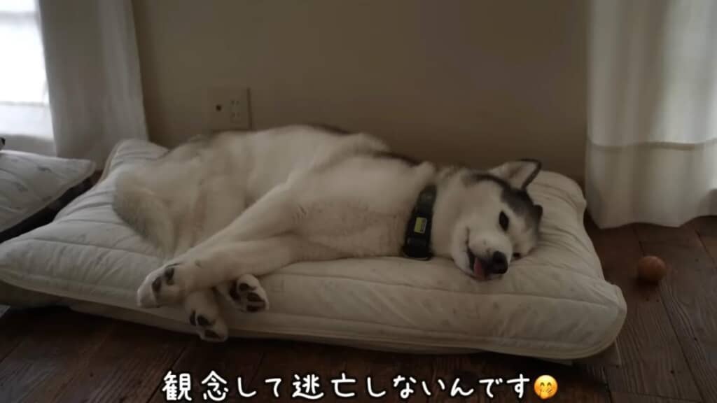 朝ごはん前のリラックスタイム