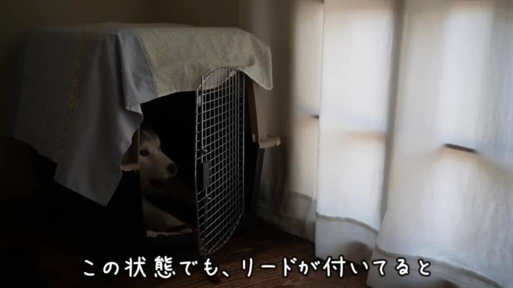 引きこもり作戦で抗議!