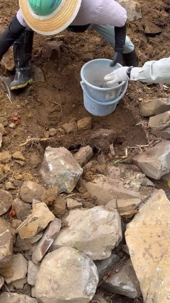 わらわらと大量に湧くカニたちを捕獲