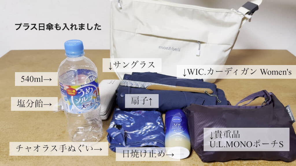 中に入れていったもの。さらに折りたたみ式の日傘も入る