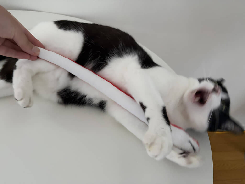 本気の顔がかわいい