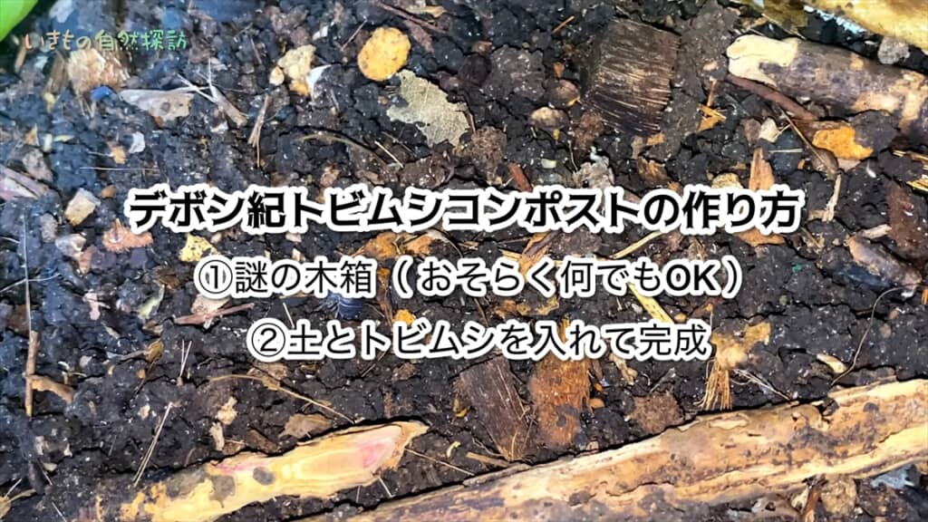 地球最古の昆虫「トビムシ」のコンポスト