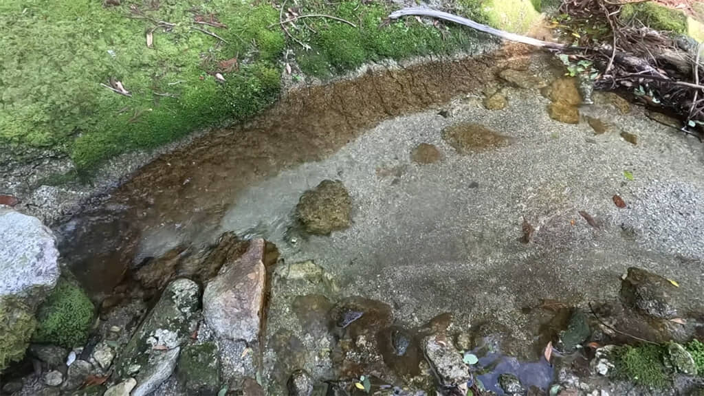 美しい水が流れる山中を進んでいきます