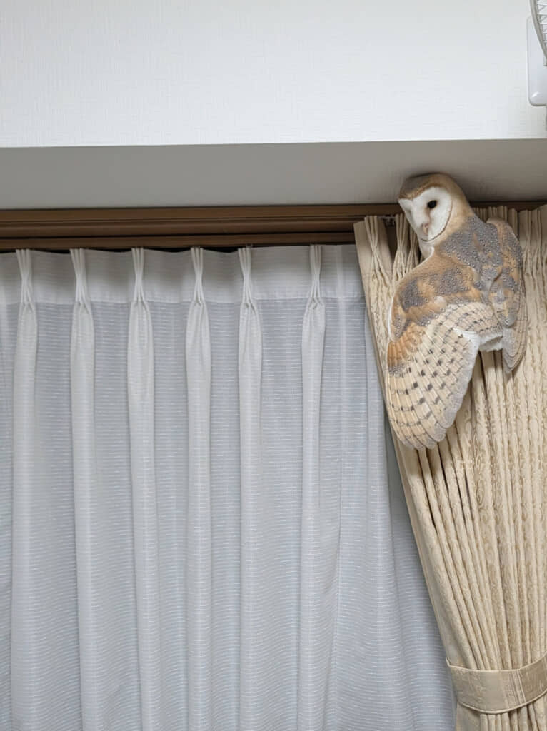 これは思わず2度見する……！