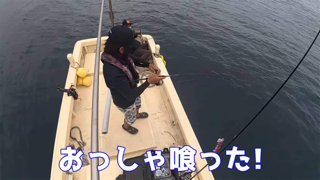 スズキに逃げられてしまいました
