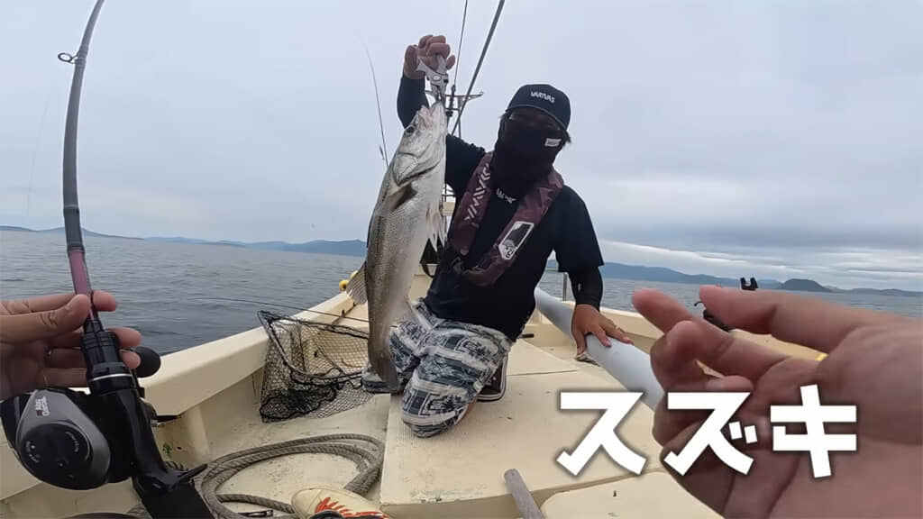 こっちゃんさんがスズキを釣り上げました