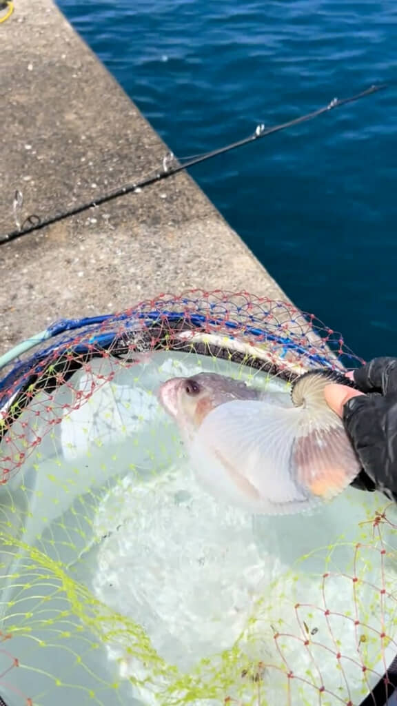口から水鉄砲を浴びせる生物