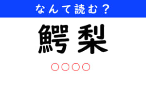 鰐梨