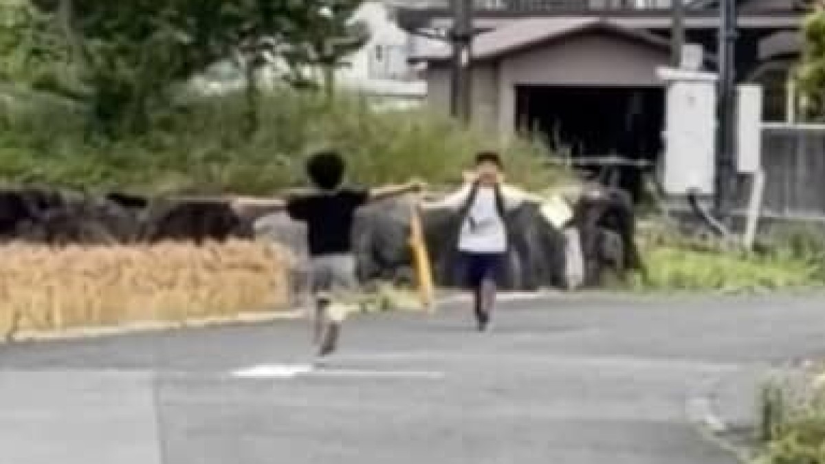 下校中の小2長男を見つけた次男→猛ダッシュした次の瞬間…… “驚きの光景”が140万再生「なかなかこうはならない」「なんかグッとくる」(1/2) | 育児 ねとらぼ