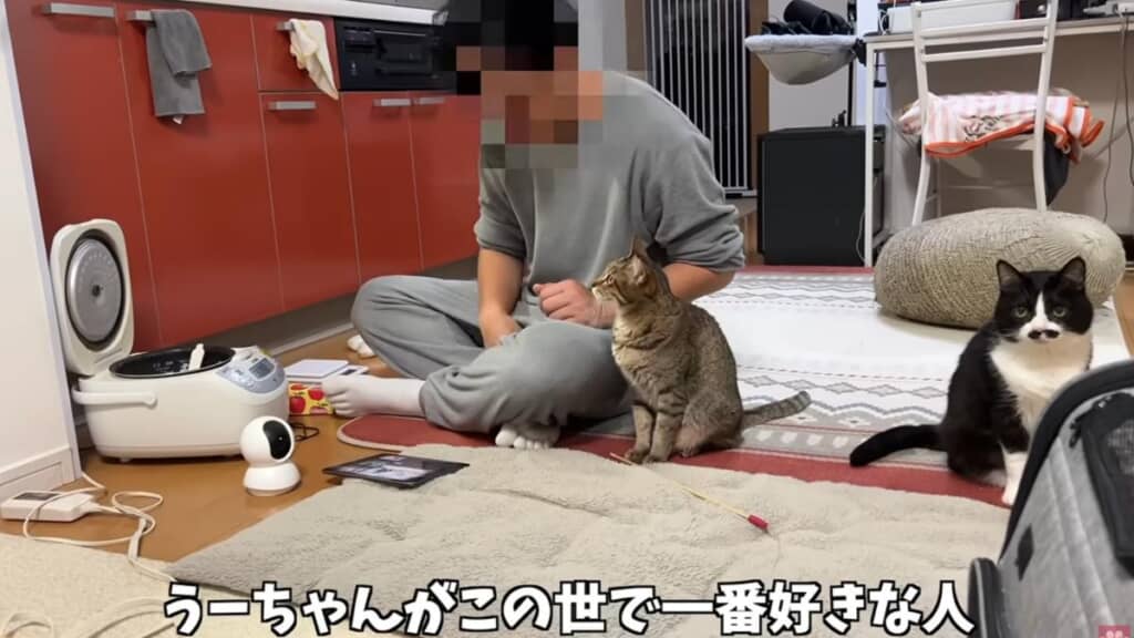 パパのことがこの世で一番大好きなうすくちちゃん
