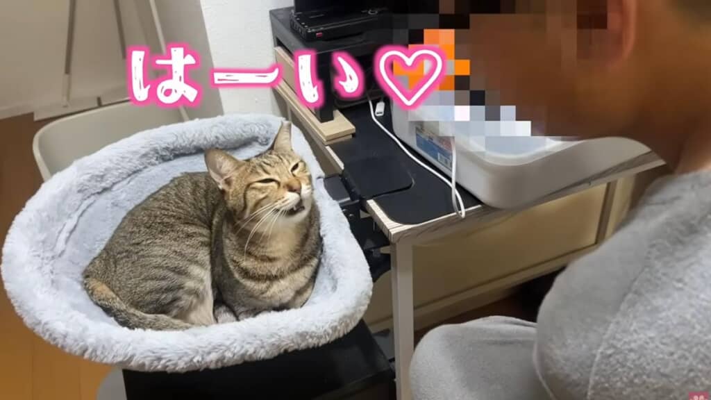パパに名前を呼ばれるとうれしい！
