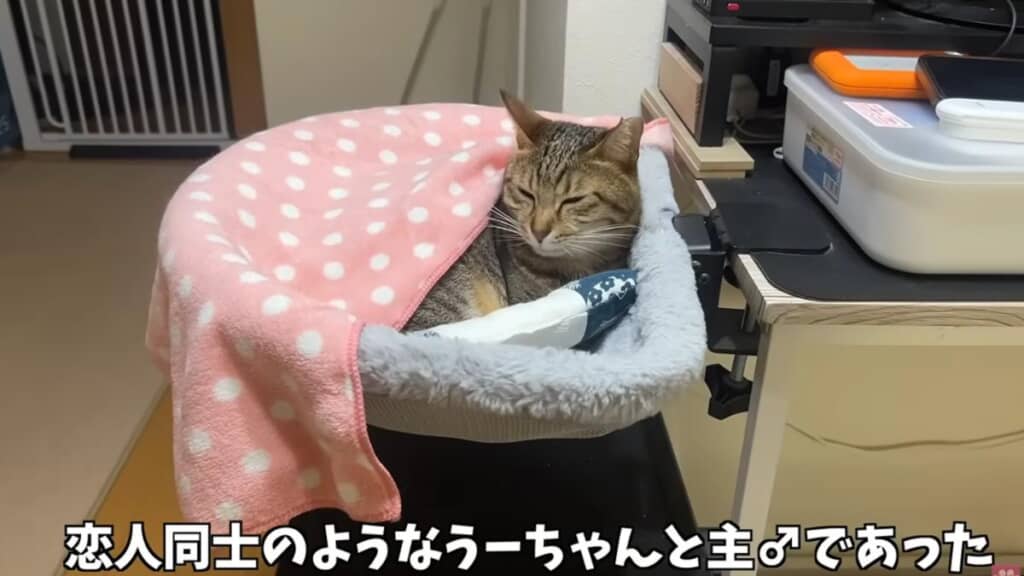 恋人同士のようなふたりなのでした