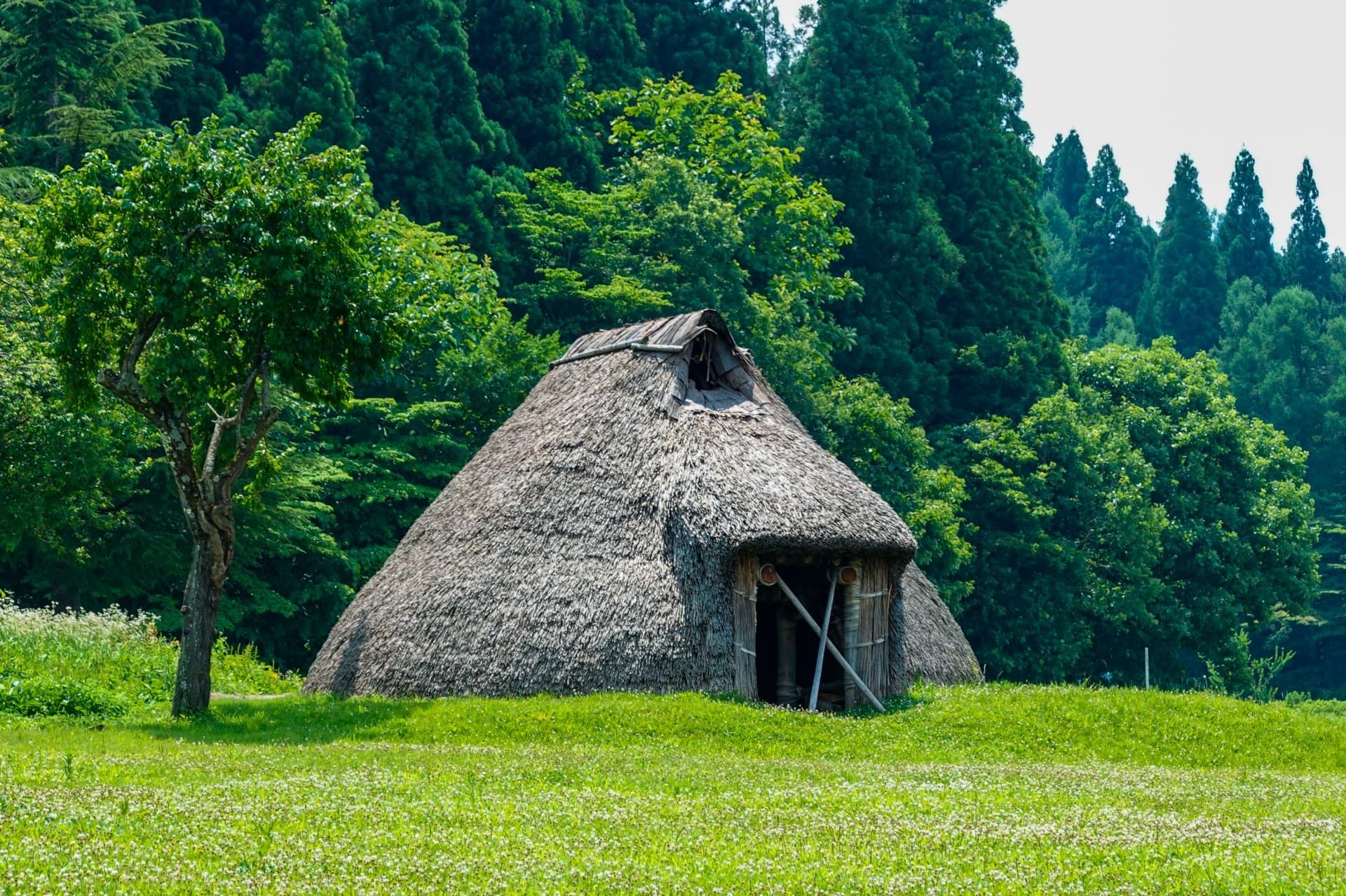 穴場観光地だと思う「新潟県の市区町村」ランキング! 第2位は「村上市」、1位は? | ライフ ねとらぼリサーチ