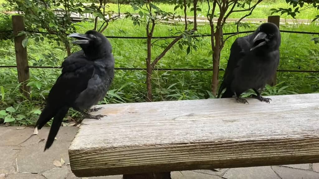 ヨメチを交えておしゃべり