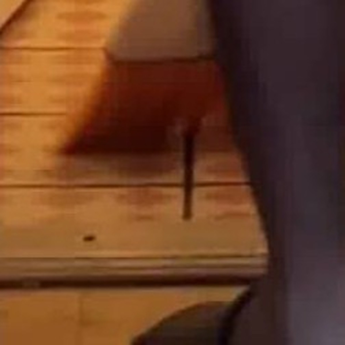 部屋にいた“でっかいクモ”が消えた！→探すと……絶叫級の光景に「にしてもデカすぎるだろ…」「ゴキブリの方がまだマシ!!!!」（1/3） | ライフスタイル ねとらぼ