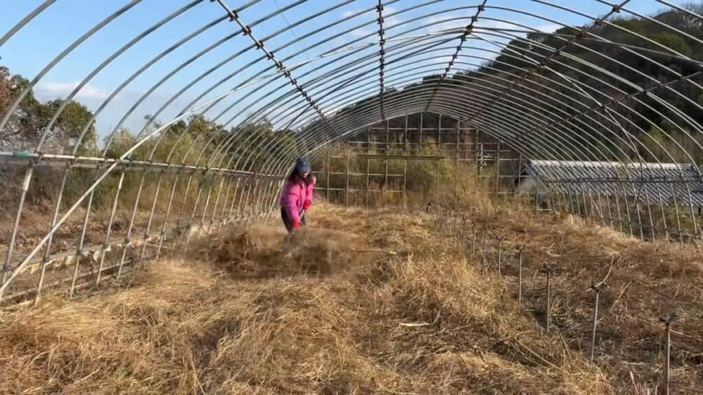 冬は刈った草をひたすら片付ける作業が続きます