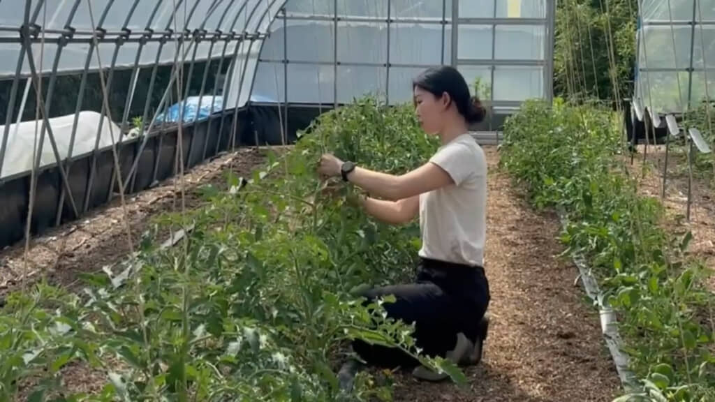 おいしい野菜が収穫できるように