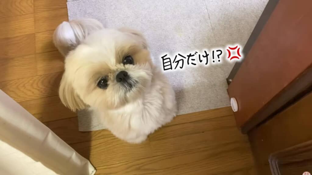 速攻でバレてしまいました