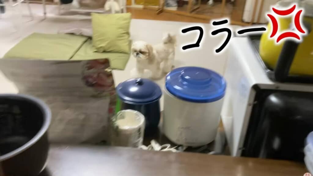 またまたバレちゃった