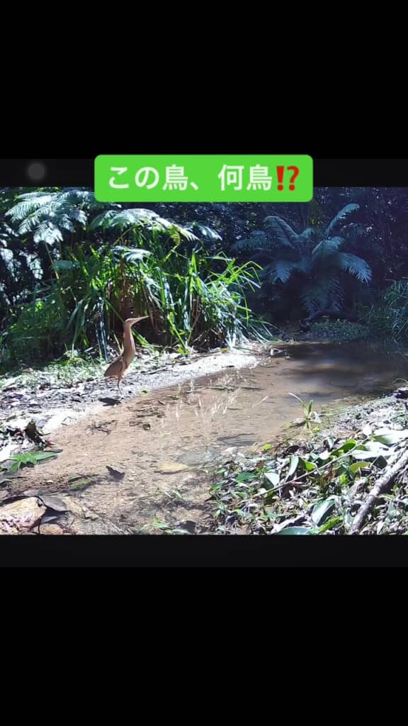 もとのサイズに戻りました