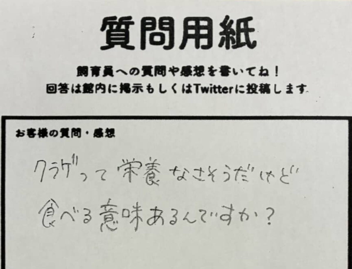 「クラゲって食べる意味あるんですか?」→飼育員の回答は…… 衝撃の事実に「この視点はなかった」「残酷」「勉強になりました」(1/3) | 小動物 ねとらぼ