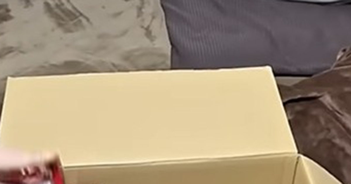 1人暮らしの息子「シューズとズボン送って」→母が段ボールに詰めるのは……　驚きの中身に「いつまでも可愛いもんね」「泣けます」（1/2） | ライフスタイル ねとらぼ