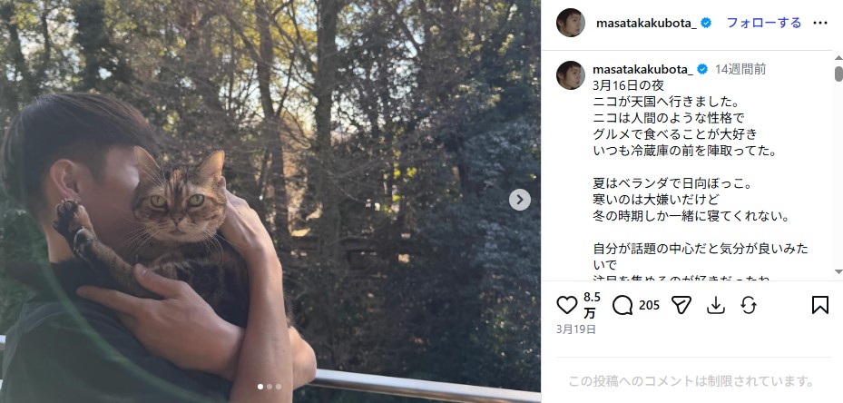 愛猫との別れを伝える窪田正孝